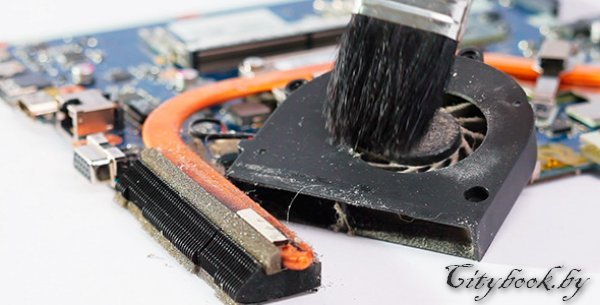 чистка ноутбука в Минске